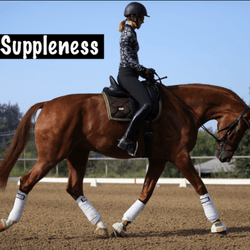 Suppleness of the Dressage Horse and Rider