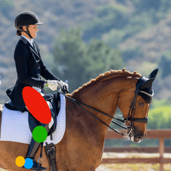 Dressage Rider Position, Seat and Legs Workshop
