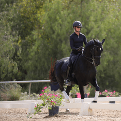 Horse & Rider Fitness Workshop
