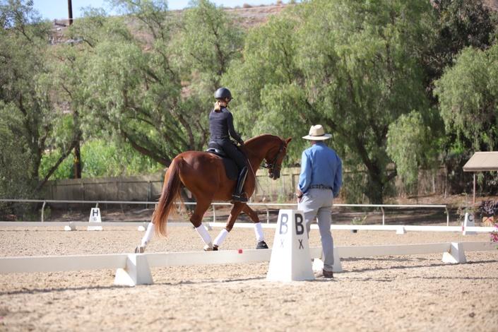 Leg-Yield Workshop