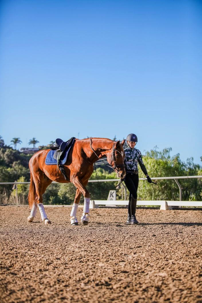 Horsemanship Workshop