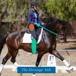 The Dressage Aids