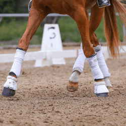 Lateral Work