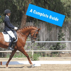 First Level Dressage (USDF v. 2023)