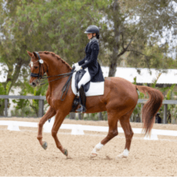 The Canter