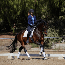 How to have FUN in Dressage
