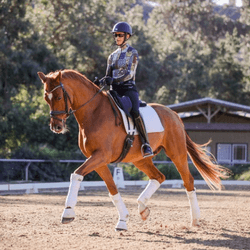 Engagement: Strengthen and Engage the Hind End