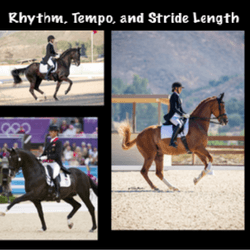Rhythm, Tempo, and Stride Length Workshop