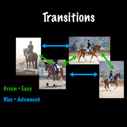 Transitions Workshop