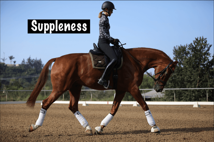 Suppleness of the Dressage Horse and Rider