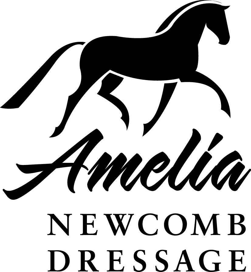 Amelia's Dressage Academy (The Dressage Academy Inc.)
