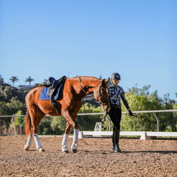 Horsemanship Workshop